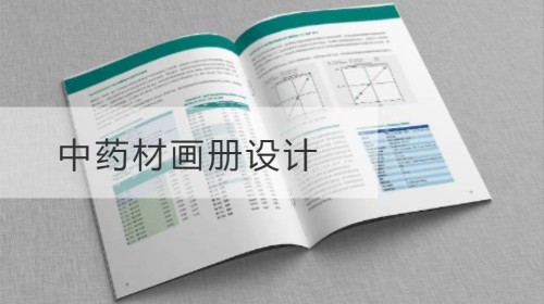 Diseño de álbum de hierbas medicinales chinas