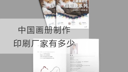¿Cuántos fabricantes de producción e impresión de álbumes de imágenes hay en China?