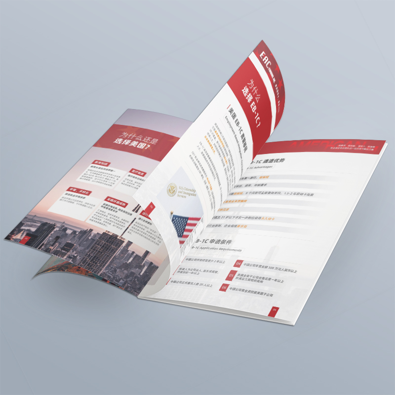 Diseño Optimización del sitio web 