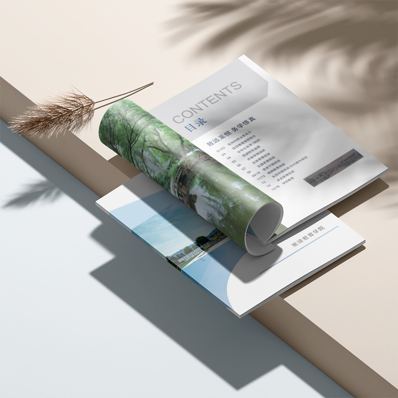 Diseño de libro de muestra de forma especial